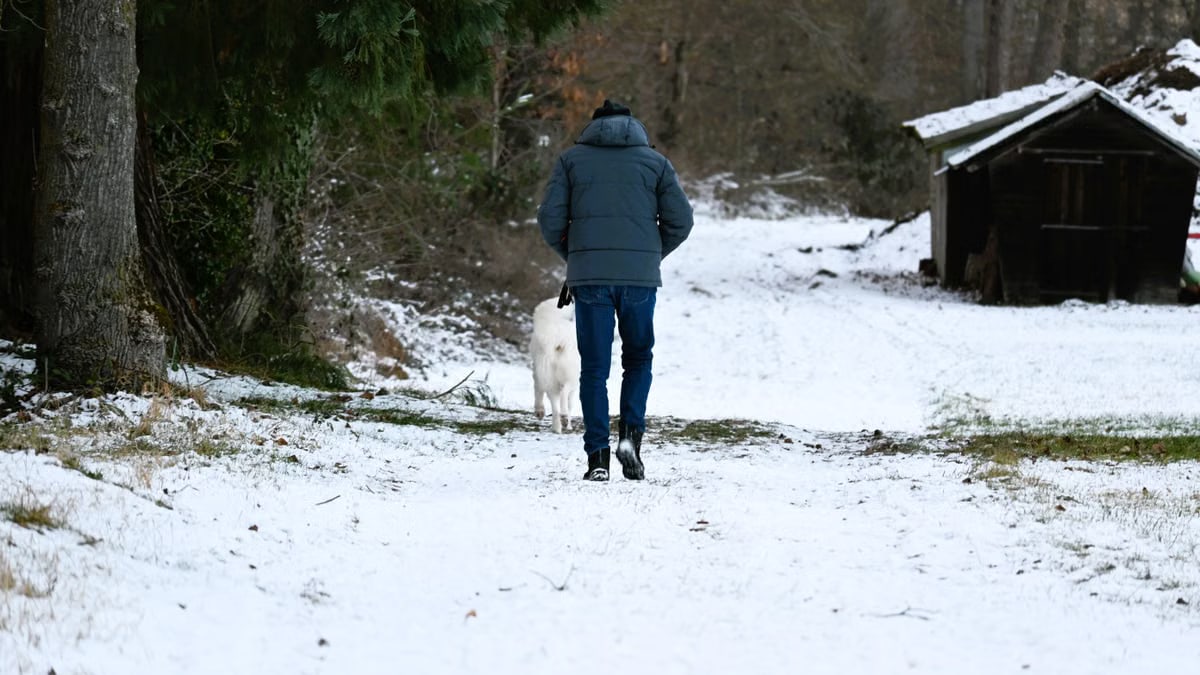 A person and dog enjoy a winter walk in snow-covered Baden-Württemberg forest.